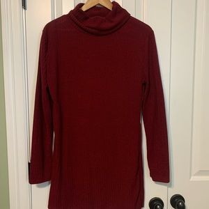 BRAND NEW NEVER WORN turtle neck dress